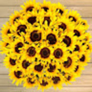 Meet your Posher, Bella